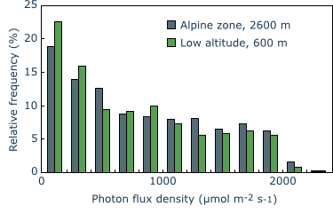 photon flux density