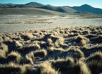 northwest Argentinean Andes