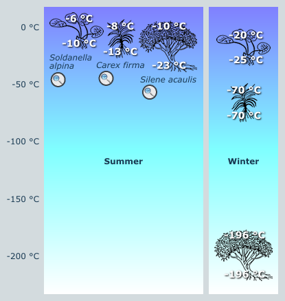 freezing resistance