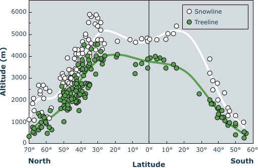 treeline parallels snowline