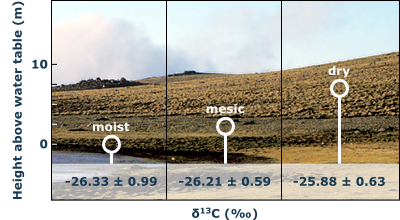 moisture gradient