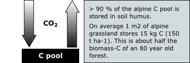 carbon balance