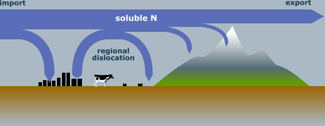 Soluble N deposition