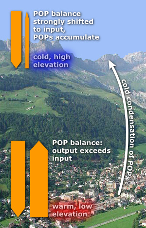 POP allocation