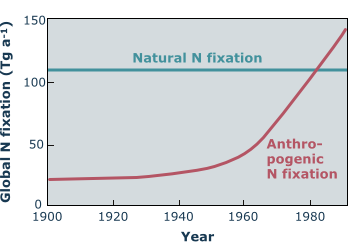 N fixation