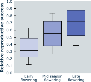 relative reproductive success