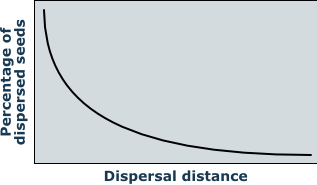 leptokurtic seed dispersal