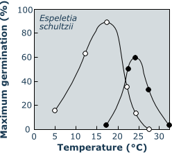 Oxyria