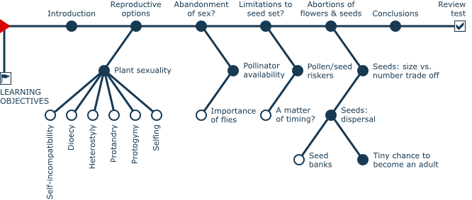 Alpandino :: Sex at high altitudes: plant reproduction :: Protogyny