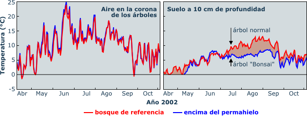 air and soil temperature