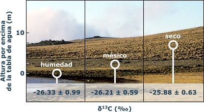 moisture gradient