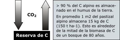 carbon balance