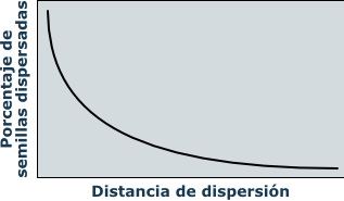 leptokurtic seed dispersal