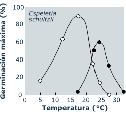 Oxyria