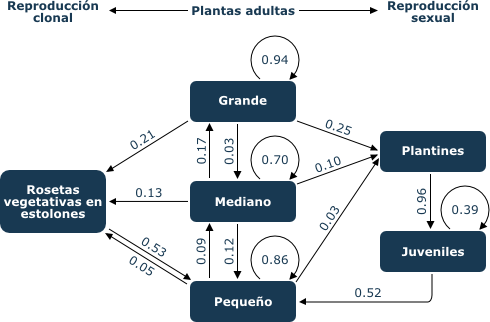 Life cycle scheme